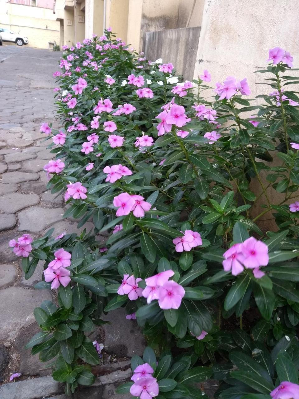 Beach Penthouse, Chennai Bed & Breakfast ภายนอก รูปภาพ